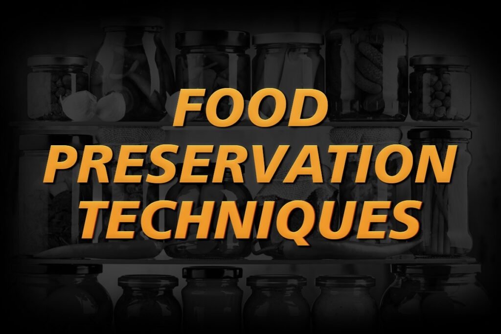 Keep it Fresh: Innovative Food Preservation Techniques